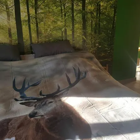 Maison Quartier Montrival * Rochefort