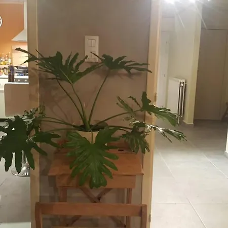 Maison Quartier Montrival Rochefort