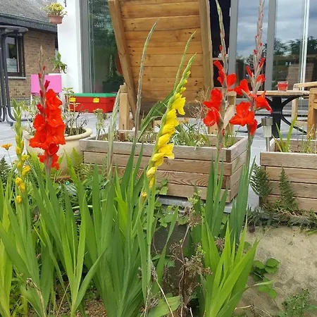 Maison Quartier Montrival Rochefort