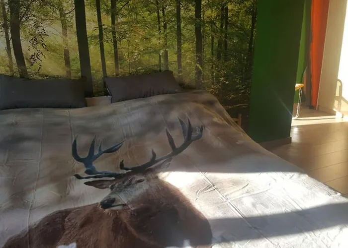 Maison Quartier Montrival * Рошфор