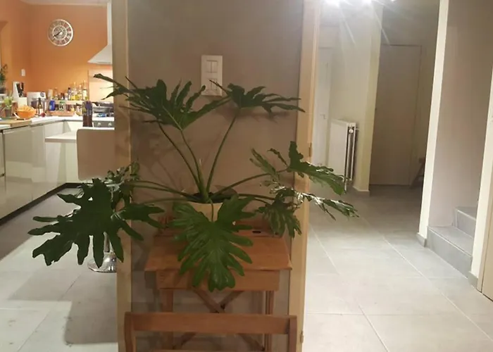 Maison Quartier Montrival Рошфор